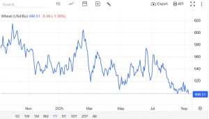 Arz Bolluğu Nedeniyle Buğday Fiyatları Düşüyor