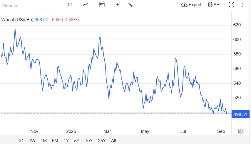 Arz Bolluğu Nedeniyle Buğday Fiyatları Düşüyor