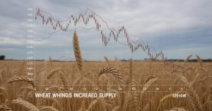 Küresel Arz Artışıyla Buğday Vadeli İşlemleri Baskı Altında