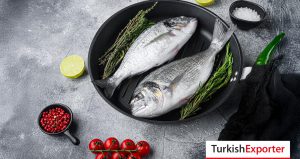 İsveç Şirketi, Deniz Çipurası için Türk Tedarikçileri Arıyor