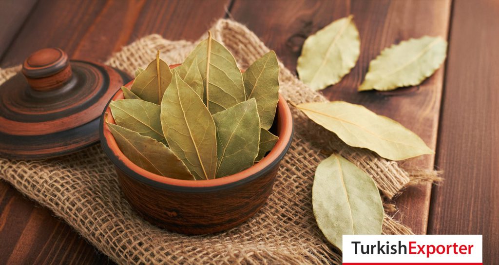 BAE Firması, Türkiye’den Defne Yaprağı Satın Alacak