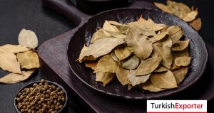 Rus Firma, Türkiye’den Defne Yaprağı Alacak