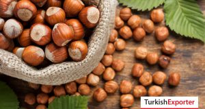 BAE Şirketi Türkiye’den Fındık Satın Almak İstiyor