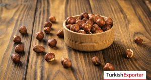 Rusya Firması, İç Fındık Tedarikçisi Arıyor