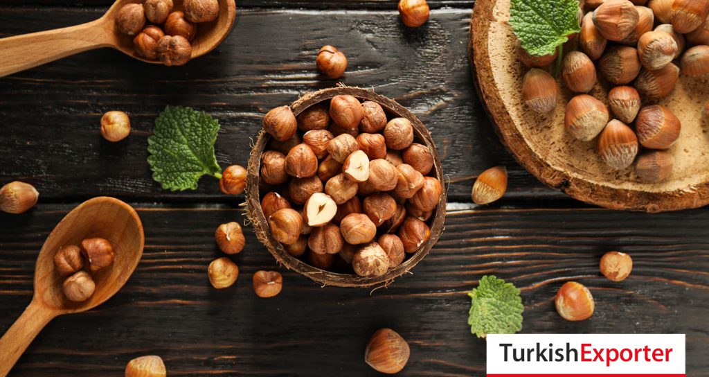 Zambiya Firması Türkiye’den Fındık İthal Edecek