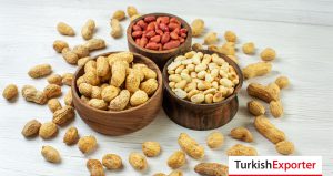 Rus Şirketi, Türkiye’den Yer Fıstığı İthal Edecek