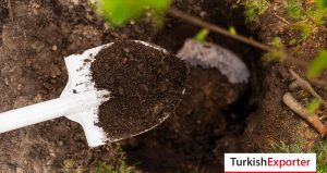 Rusya Şirketi, Solucan Gübresi Satın Almak İstiyor