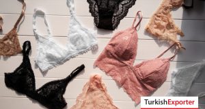 Sırbistan Firması, İç Çamaşarı İthal Etmek İstiyor