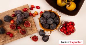 Ukrayna Firması, Türkiye’den Taze İncir Satın Almak İstiyor