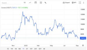 Kakao Fiyatları Arz Endişeleriyle Yükselişte