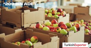 Gürcistan İçin 200 Bin Elma Kasası İstiyor