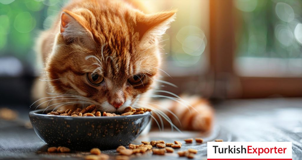 Ekvador Firması, Türkiye’den Kedi Maması Talep Ediyor