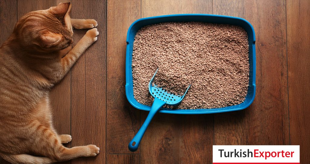 Şili Firması Kedi Kumu Tedarikçisi Arıyor