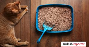 Şili Firması Kedi Kumu Tedarikçisi Arıyor