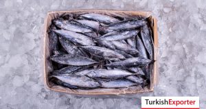 Suriye Firması Dondurulmuş Uskumru Talep Ediyor