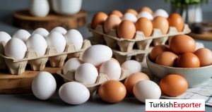 Rusya Firması Sofralık Yumurta İthal Edecek
