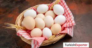 Türkmenistan Firması Yumurta Tedarikçisi Arıyor