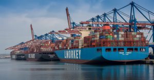 İthalat Alım Talepleri 3010-303