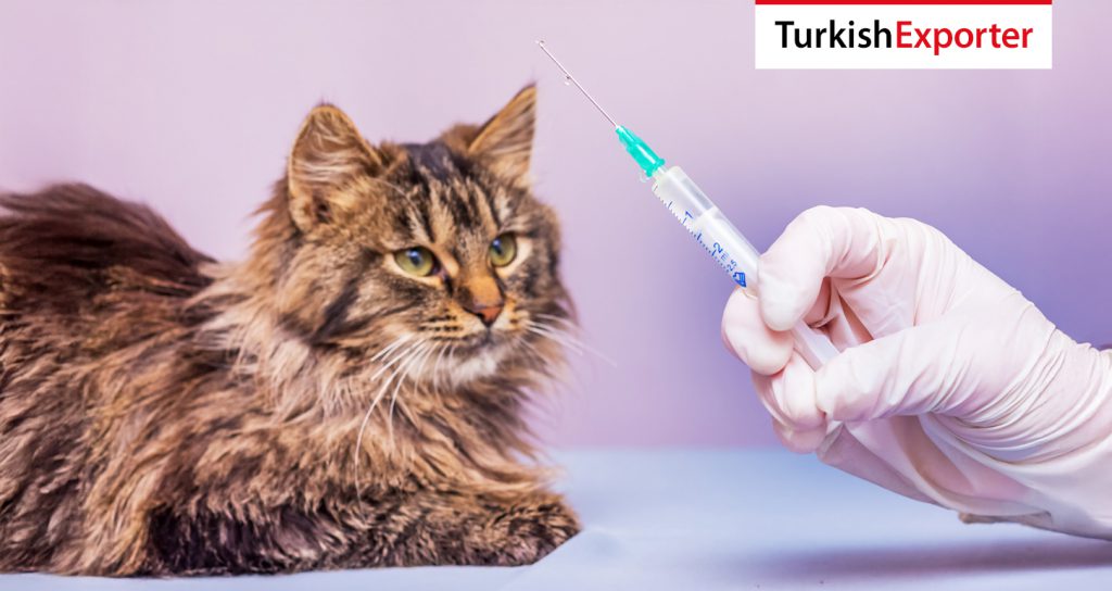 Burundi Şirketi Türkiye’den Hayvan Aşısı Satın Alacak