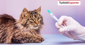 Burundi Şirketi Türkiye’den Hayvan Aşısı Satın Alacak