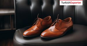 Tanzanya Şirketi Deri Ayakkabı İthal Edecek