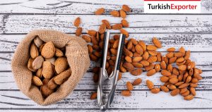 Macaristanlı Firma Organik Bütün Badem İthalatı Yapacak