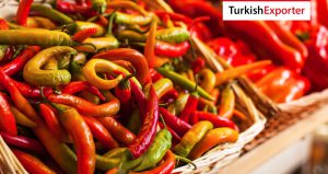 Belarus Firması Biber İthal Etmek İstiyor