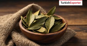 Çekya Firması Defne Yaprağı İthal Etmek İstiyor