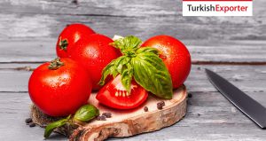 Gürcistan Şirketi Türkiye’den Taze Domates İthal Edecek