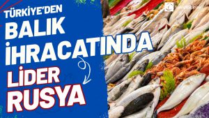 Rusya, Türkiye’den Balık İhracatında Lider Pazar Konumunu Koruyor
