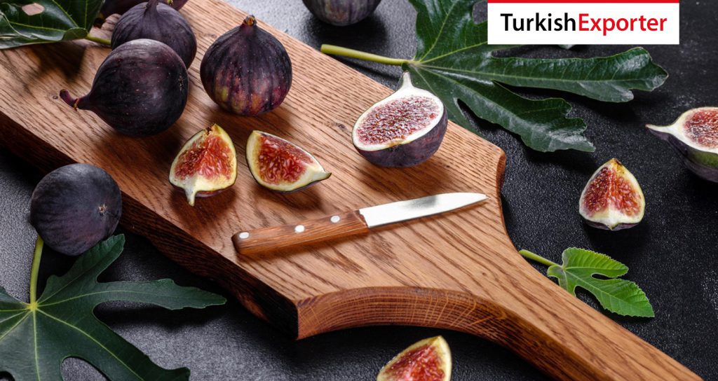 Hindistan Firması Türkiye’den İncir Satın Alacak