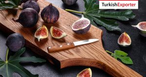 Hindistan Firması Türkiye’den İncir Satın Alacak