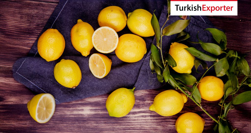 Kazakistan Firması Limon İthal Etmek İstiyor