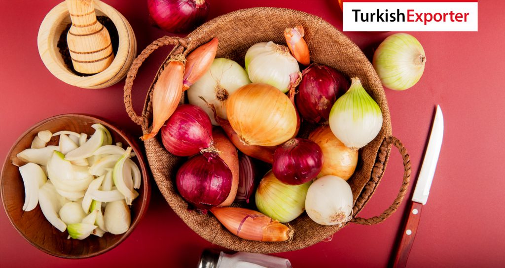 Belarus Firması Soğan İthalatı Yapmak İstiyor