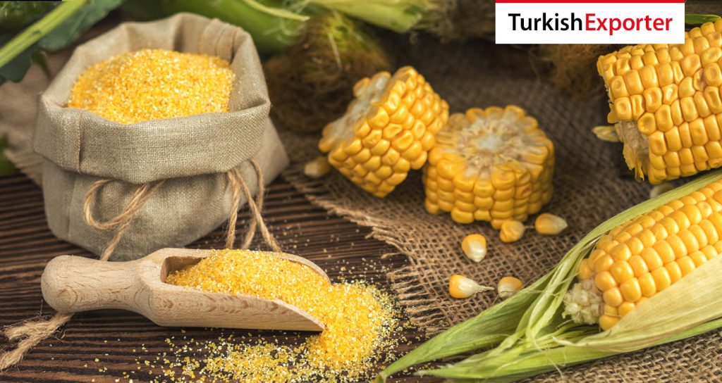 İngiltere Firması Türkiye’den Mısır Unu Almak İstiyor