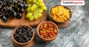 Endonezya Firması Türkiye’den Kuru Üzüm Almak İstiyor