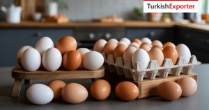 Bahreyn, Türkiye’den Tavuk Yumurtası İthal Etmek İstiyor