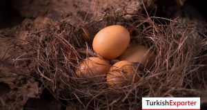 Fildişi Sahili, Kuluçkalık Yumurta İthal Edecek