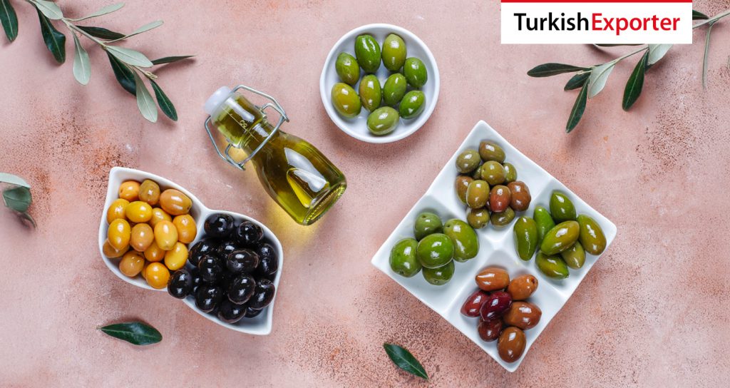 Hindistan Şirketi Türkiye’den Yeşil Zeytin Satın Alacak