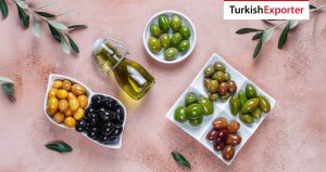 Hindistan Şirketi Türkiye’den Yeşil Zeytin Satın Alacak