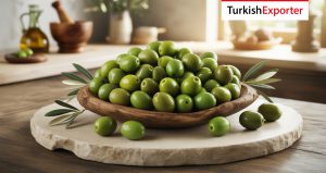 Venezuela, Türkiye’den Yeşil Zeytin İthal Edecek