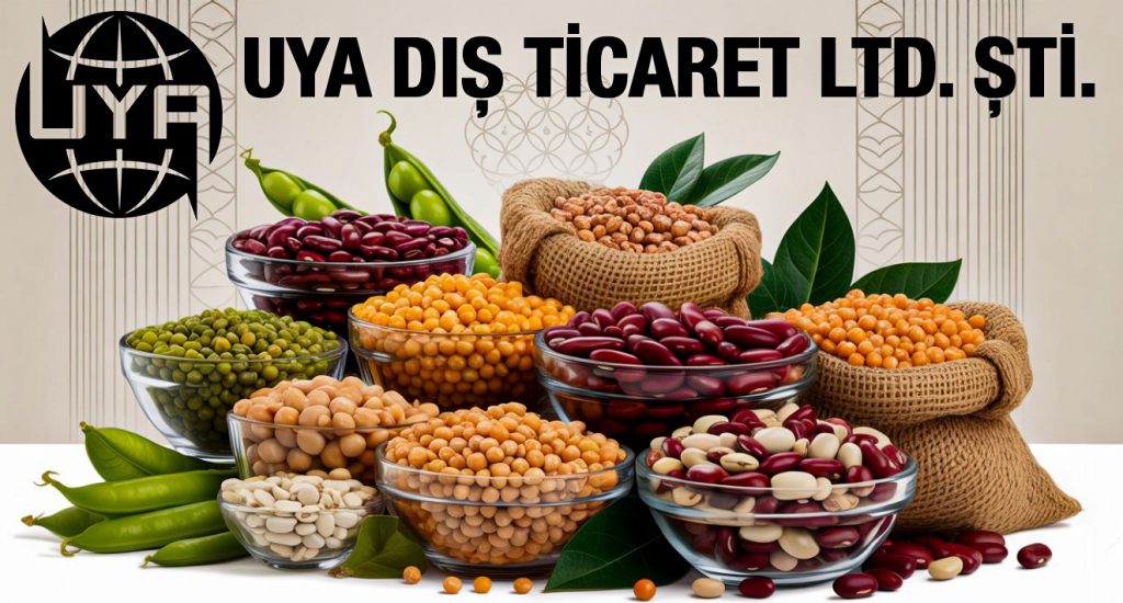 Uya Dış Ticaret ve Danışmanlık Ltd. Şti.