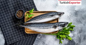 Azerbaycanlı Firma Türkiye’den Uskumru Almak İstiyor