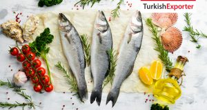 İngiltere Firması Türkiye’den Taze Balık Satın Almak İstiyor