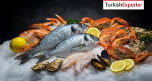 Birleşik Arap Emirlikleri Taze Deniz Ürünleri İthal Etmek İstiyor