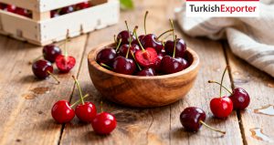 BAE Firması Türkiye’den Kiraz Satın Almak İstiyor