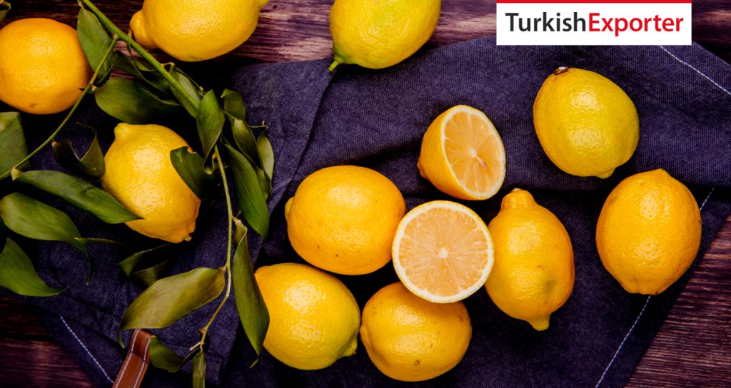Azerbaycan Şirketi Türkiye’den Limon Almak İstiyor