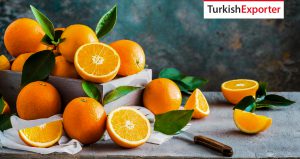 Rusya Firması Türkiye’den Portakal Satın Almak İstiyor