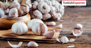 Sırbistanlı Firma Sarımsak Tedarikçisi Arıyor