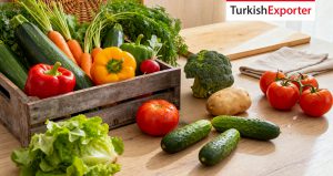 İngiltere Şirketi Türkiye’den Sebze İthalatı Yapmak İstiyor